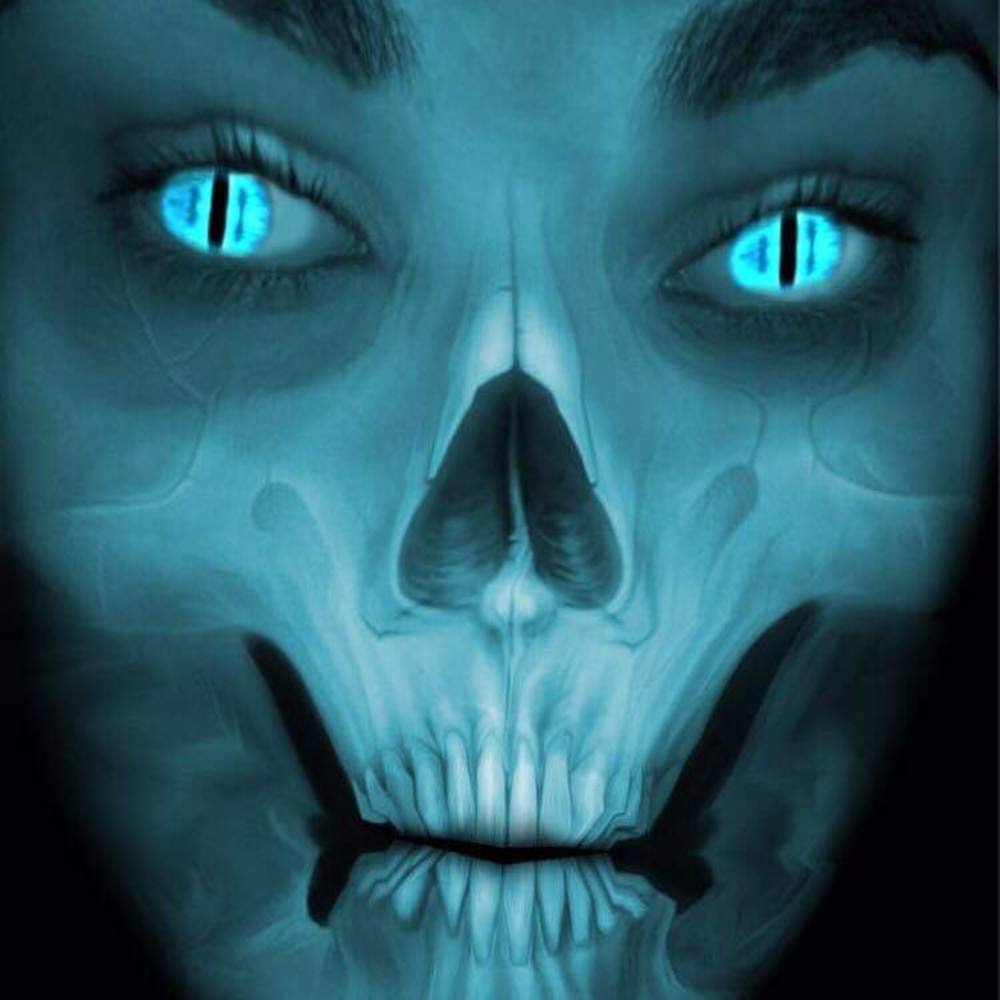 Meet your Posher, Rose